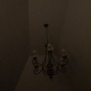 Meet your Posher, Dianna